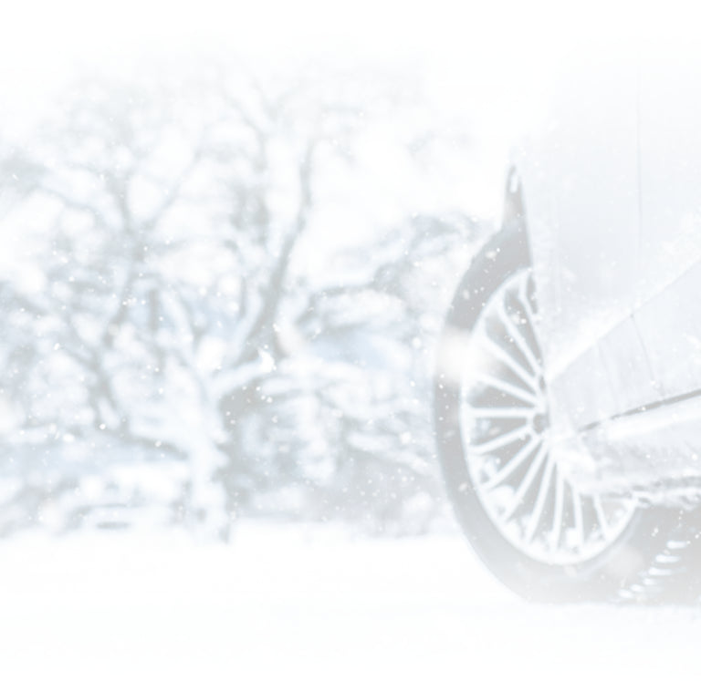 You are how you caralt-text