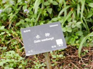 福山植物園藥用植物